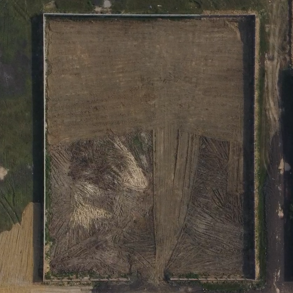 plot image
